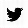 X (formerly Twitter) icon